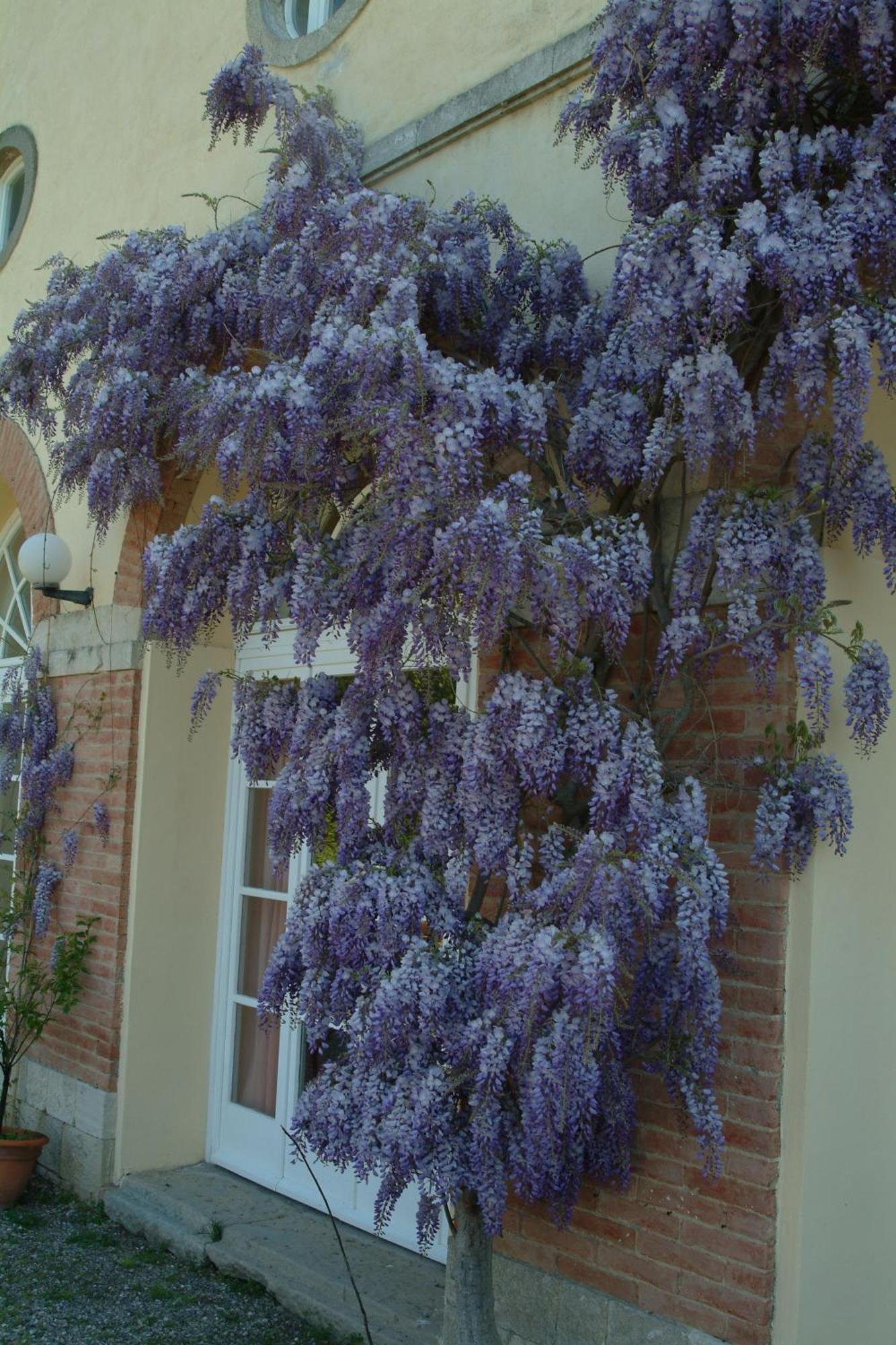 Villa Palagione Centro Interculturale Вольтерра Экстерьер фото